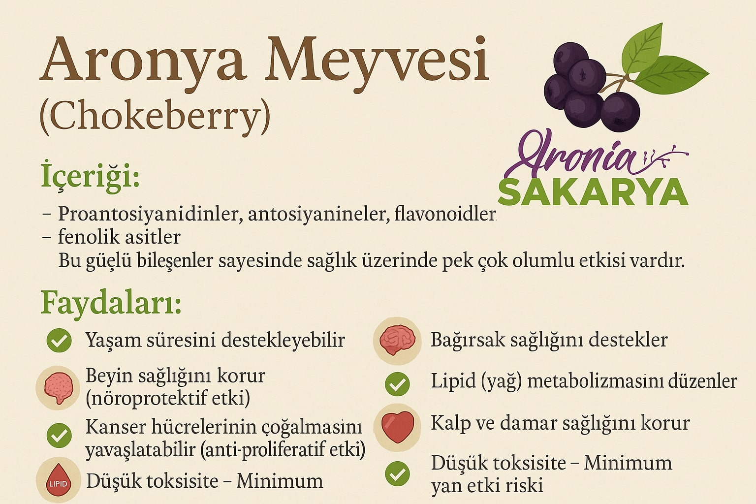 Aronya: Süper Meyvenin Gücü, Faydaları ve Geleceği